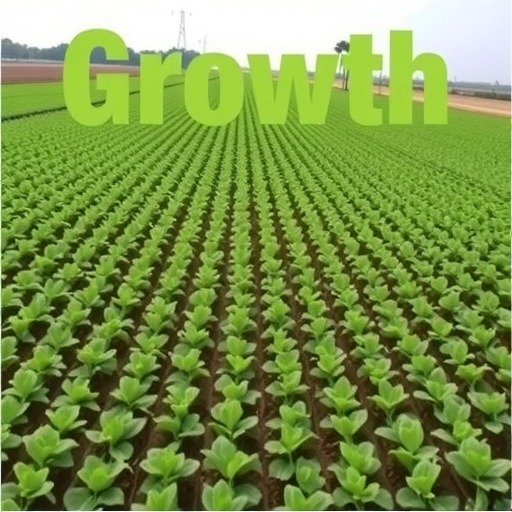 数量增长不是耕地保护终点