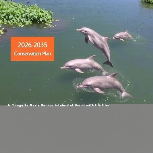 十大行动！我国实施长江江豚拯救行动计划（2026-2035年）(图1)