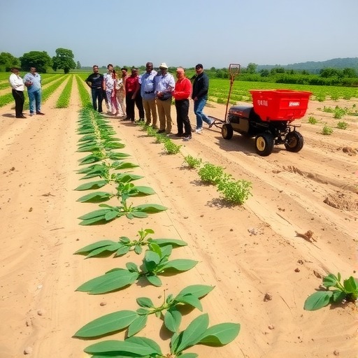 中国专家助力塞拉利昂农业发展焕新