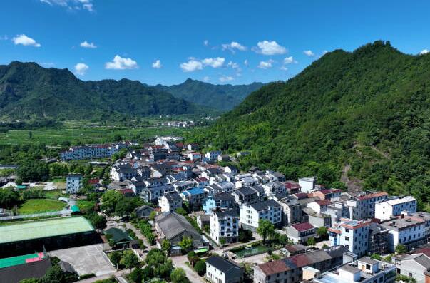 天台县村庄