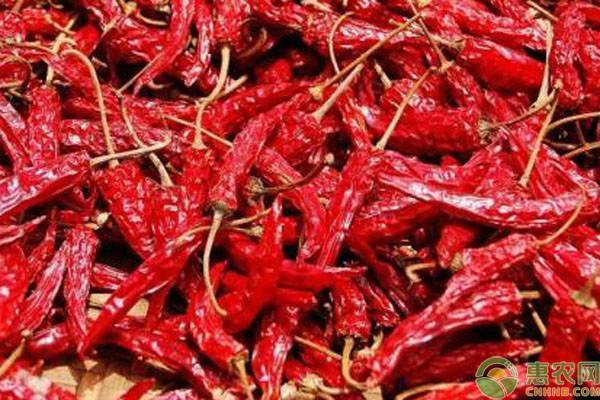 2026年干辣椒价格最新行情(图2)