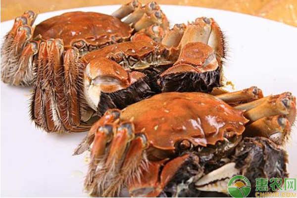 2026年大闸蟹价格最新行情(图2)