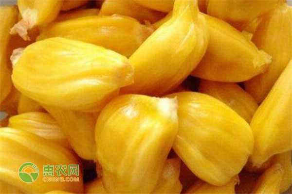 2026年菠萝蜜价格多少钱一斤？(图1)