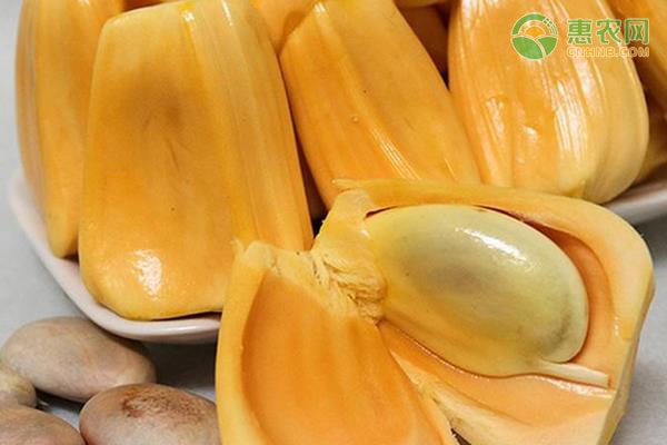 2026年菠萝蜜价格多少钱一斤？(图3)