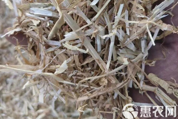 2026年秸秆饲料价格多少钱一吨？(图1)