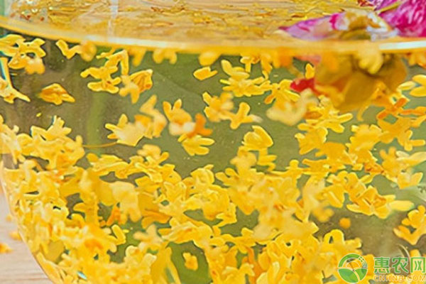 2026年花草茶价格多少钱一斤？(图2)