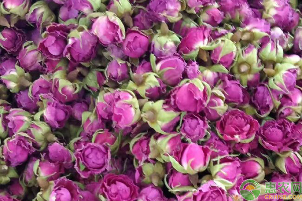 2026年花草茶价格多少钱一斤？(图3)