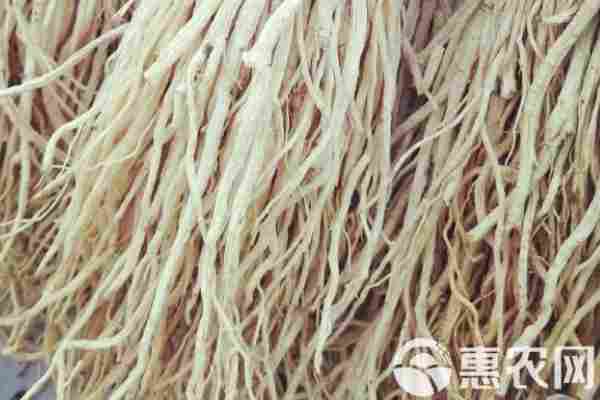 2026年党参价格多少钱一斤？(图3)