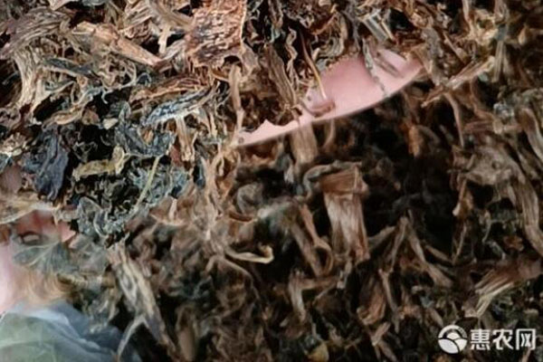 干菜品种排行榜前十(图2)