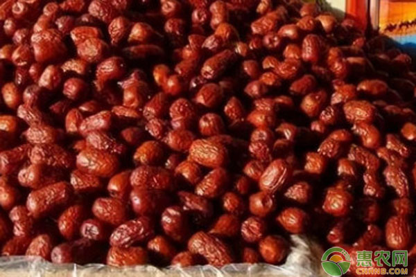 红枣产地排行榜前十名