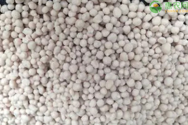 单质肥品种排行榜前十(图2)