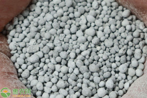 单质肥品种排行榜前十(图3)