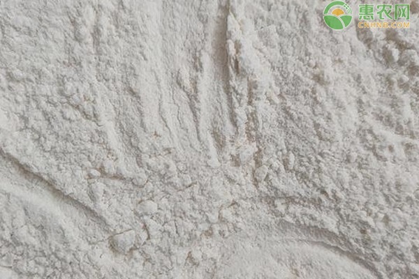 2026年面粉价格多少钱一斤？(图3)