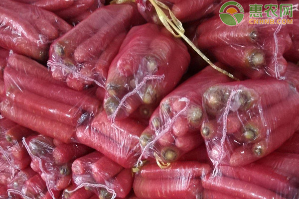 胡萝卜产地排行榜前十名(图1)