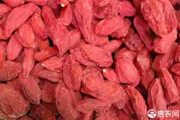 枸杞产地排行榜前十名(图2)