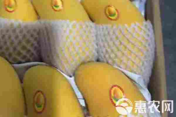 芒果品种排行榜前十(图2)