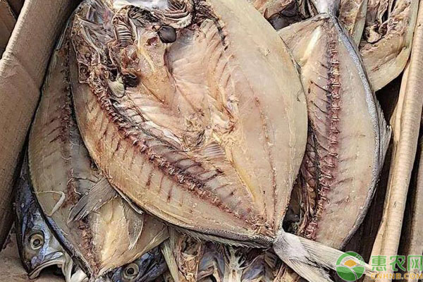 鱼干产地排行榜前十名(图3)