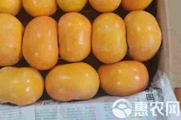 柿饼产地排行榜前十名(图2)