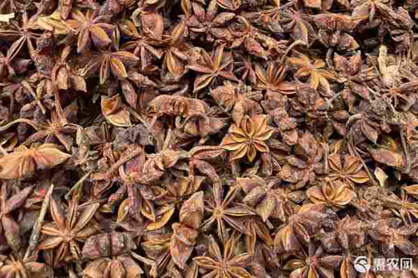2026年八角价格多少钱一斤？(图3)