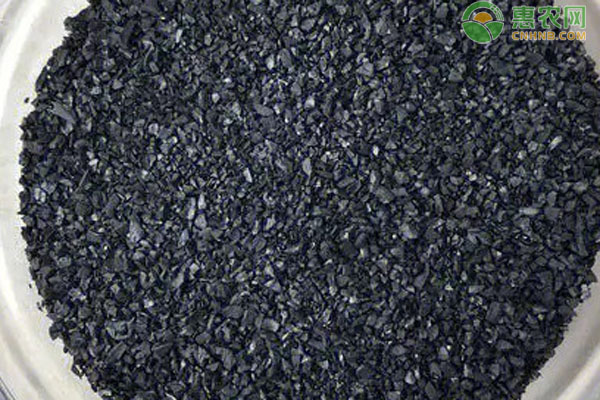 2026年炭价格多少钱一吨？(图1)