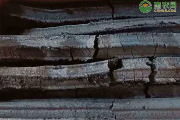 2026年炭价格多少钱一吨？(图2)