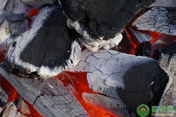 2026年炭价格多少钱一吨？(图3)