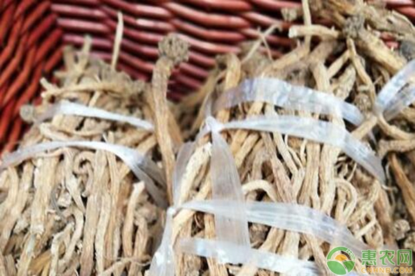 党参产地排行榜前十名