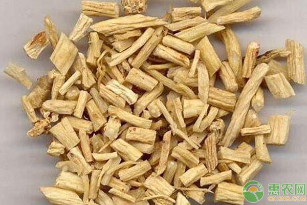 党参产地排行榜前十名(图2)