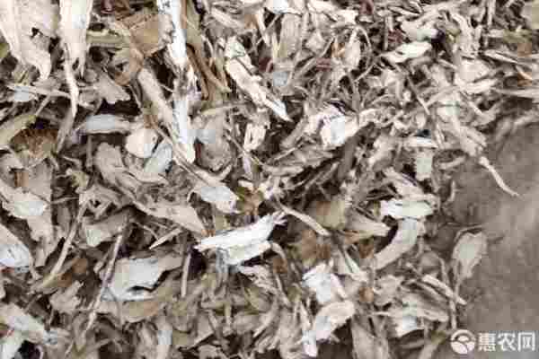 当归产地排行榜前十名(图3)