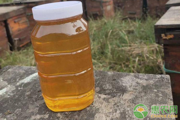 蜂蜜产地排行榜前十名(图1)