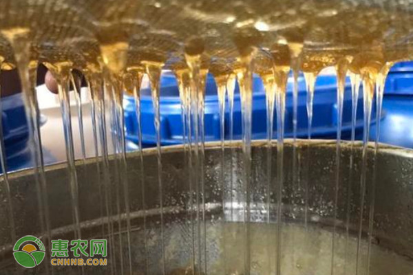 蜂蜜产地排行榜前十名(图2)