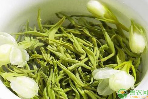 花草茶产地排行榜前十名(图2)