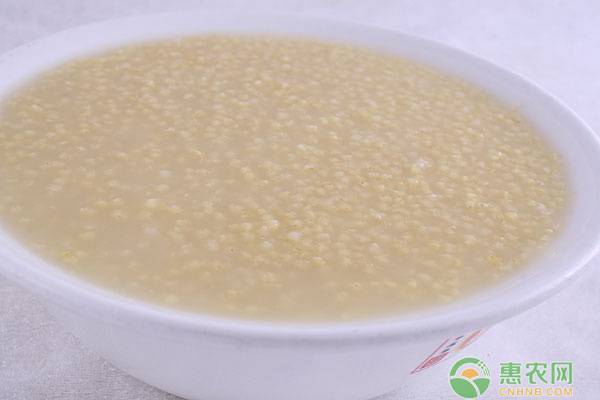 2026年小米价格多少钱一斤？(图3)