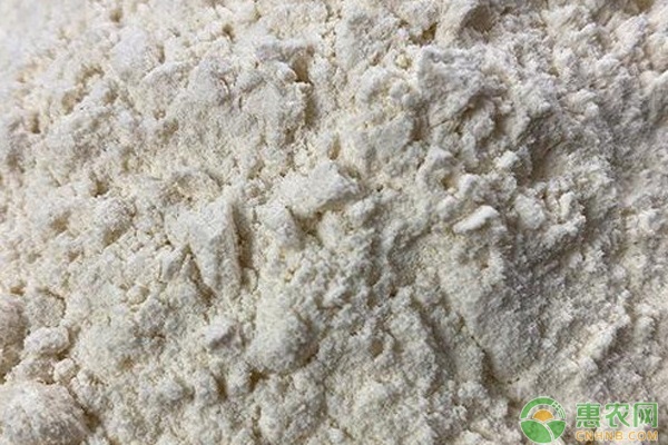 面粉产地排行榜前十名(图1)