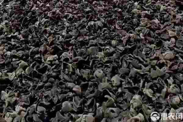 木耳产地排行榜前十名(图3)