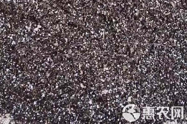 栽培基质品种排行榜前十(图1)