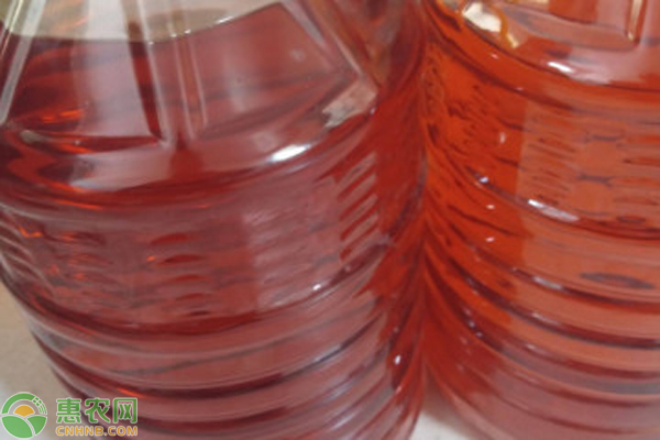 2026年大豆油价格多少钱一斤？(图2)