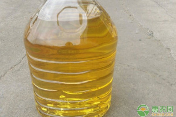 2026年大豆油价格多少钱一斤？(图3)