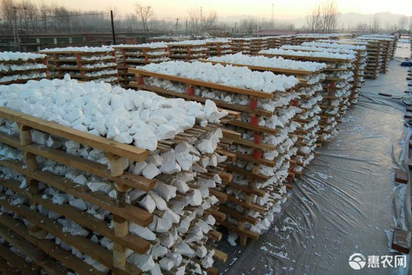 淀粉品种排行榜前十(图3)