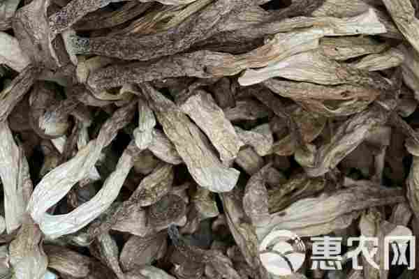 2026年鹿茸菇价格多少钱一斤？(图3)