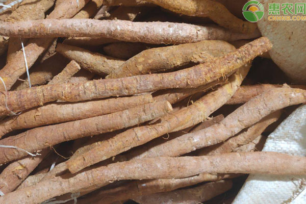 2026年牛大力价格多少钱一斤？(图3)