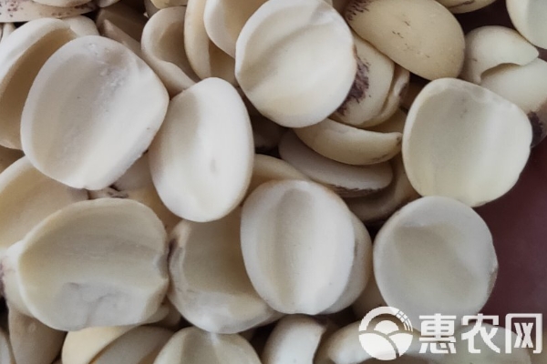 2026年莲子价格多少钱一斤？(图2)
