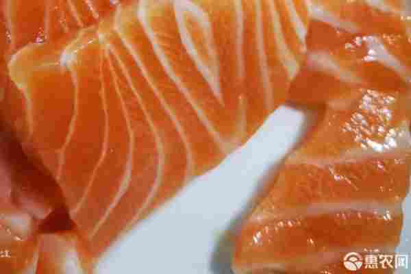鲑鱼品种排行榜前十(图1) 鲑鱼品种排行榜前十(图1)