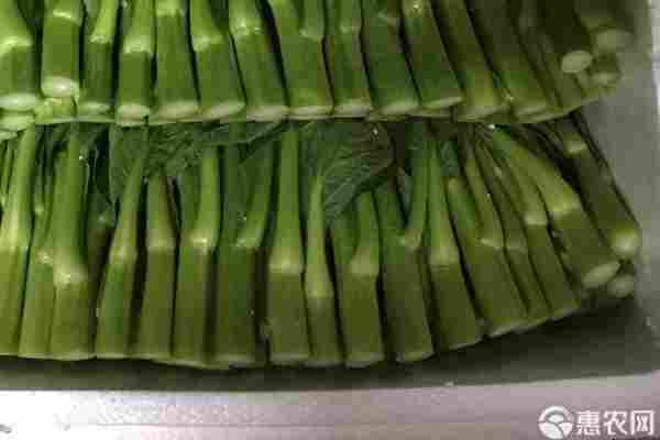 2026年菜苔价格多少钱一斤？(图2)