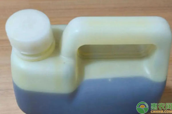 菜籽品种排行榜前十(图2)