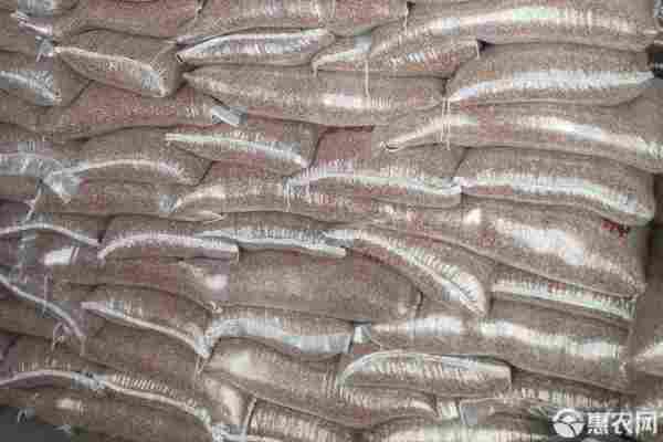 2026年高粱价格多少钱一斤？(图2)